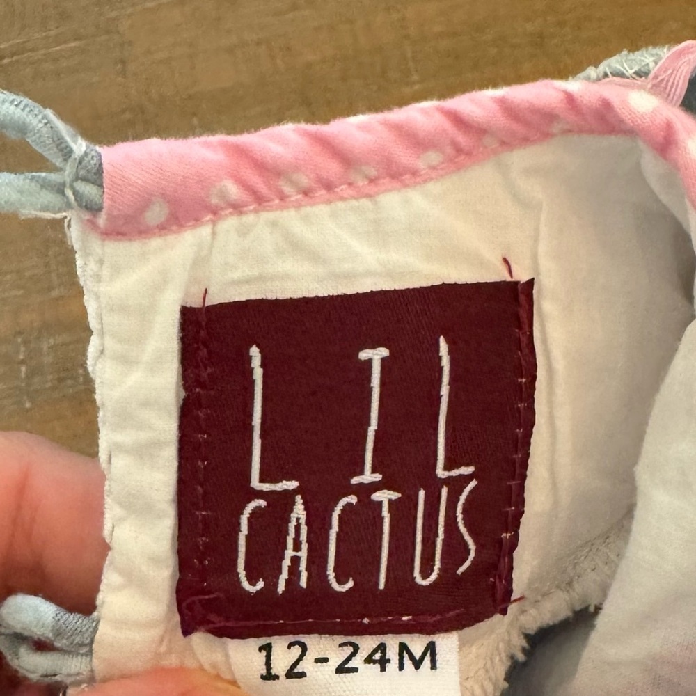 Lil Cactus 24m Smocked Flamingo Dress - Picture 4 of 4